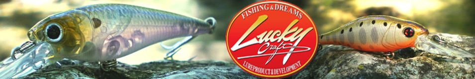 Lucky Craft Bevy Shad 60SP