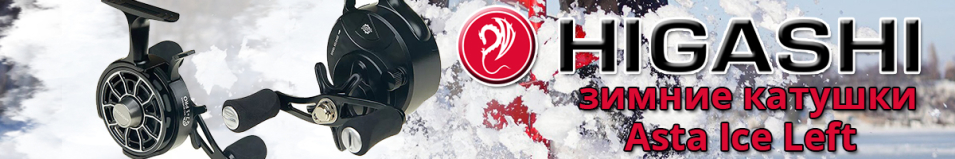 Higashi Asta Ice Left