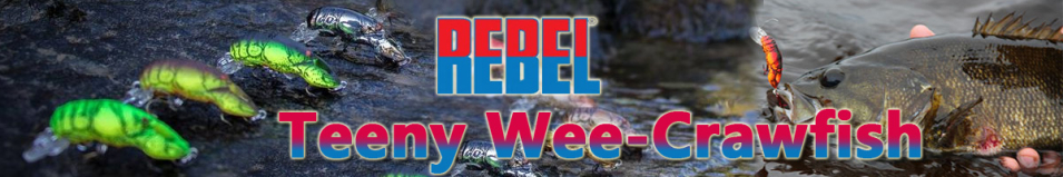 Rebel Teeny Wee-Crawfish