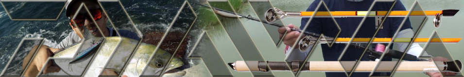 Daiwa Shogun Heavy Feeder