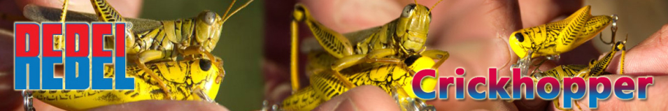 Rebel Crickhopper