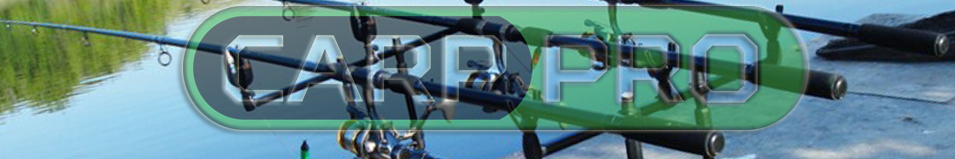 Carp Pro Rondel Swinger