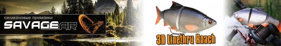 Savagear 3D Linethru Roach 25 216g MS