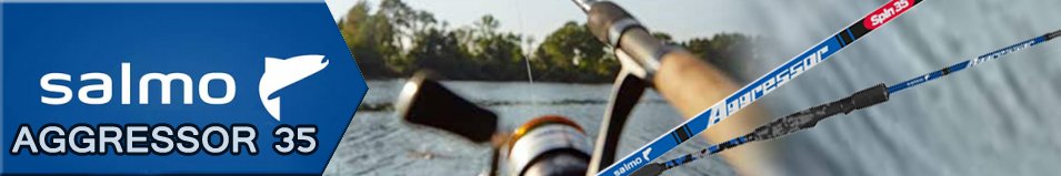 Salmo Aggressor 35