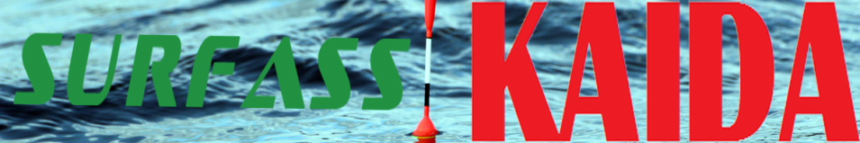 Kaida Surfass