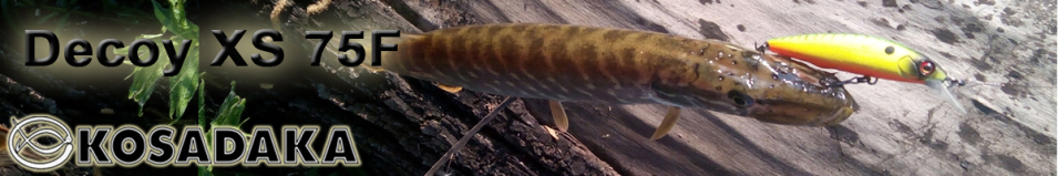 Kosadaka Decoy XS 75F