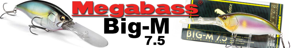 Megabass Big-M 7.5