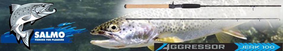 Salmo Aggressor  Jerk