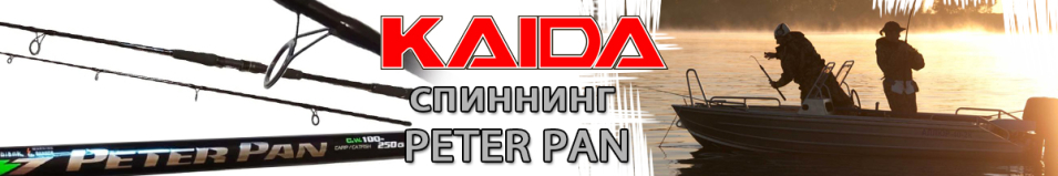 Kaida Peter Pan