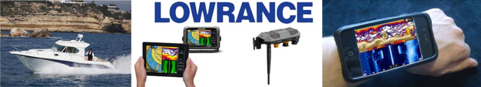 Lowrance Gofree Wifi1 Wireless Module