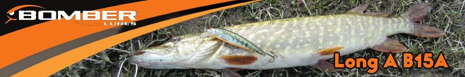 Bomber Long A B15A