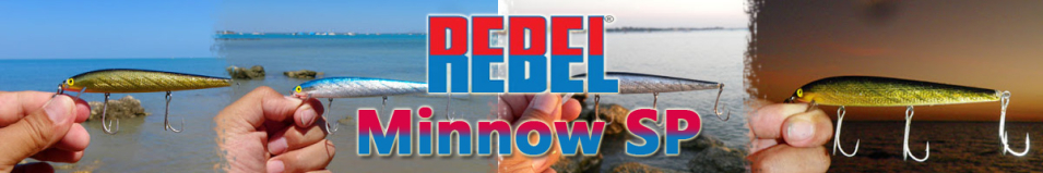 Rebel Minnow SP