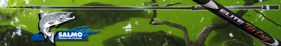 Salmo Elite Tele Carp 