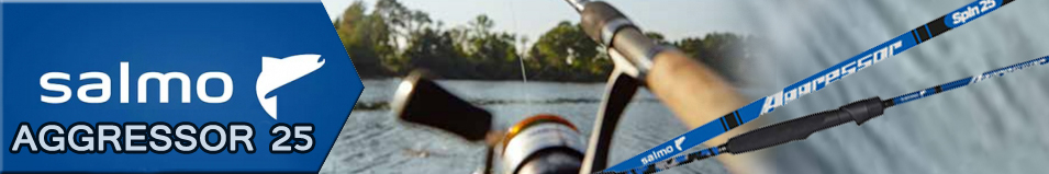 Salmo Aggressor 25