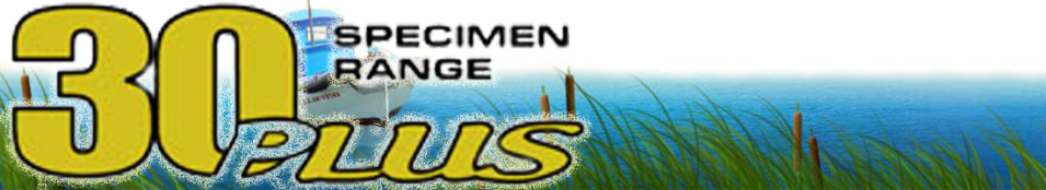 30Plus Kodex Long Session Case