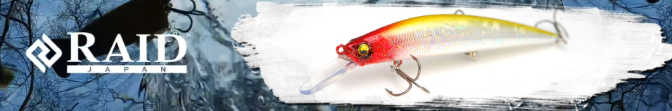 Raid Level Minnow Plus