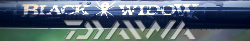 Daiwa Black Widow Stalker Carp