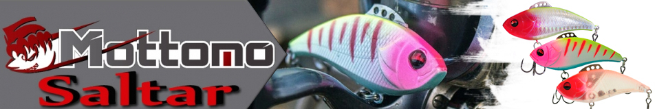 Mottomo Saltar 60S "3 в 1"