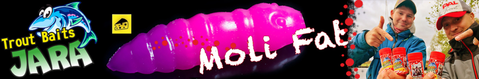 Trout Baits Jara Moli Fat 35 (Сыр)