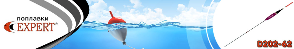 Поплавок Expert d202-62