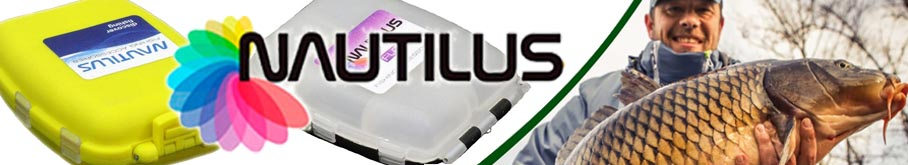 Nautilus Box With Magnet