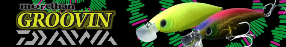 Daiwa Morethan Groovin 70HS