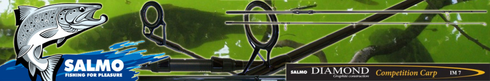 Salmo Diamond Competition Carp