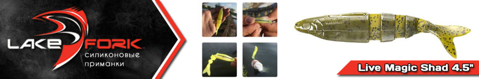 Lake Fork Live Magic Shad 4.5"