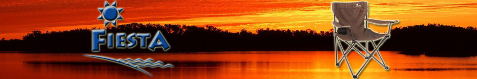 Fiesta Companion light (сталь)