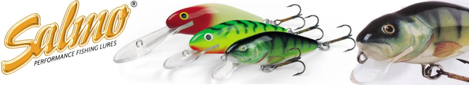 Salmo Perch DR 80