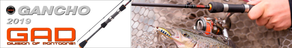 GAD Gancho 2019