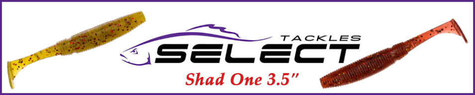 Select Shad One 3.5"
