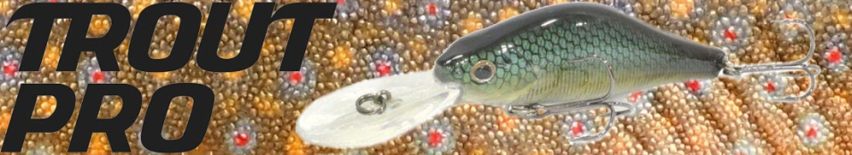 Trout Pro Deep Shad 70F