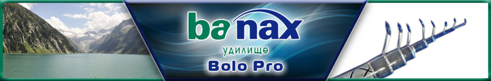 Banax Bolo Pro