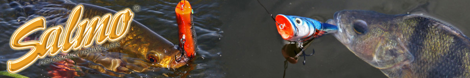 Salmo Pop 60F