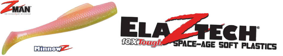 Z-man Diezel Minnowz 4"