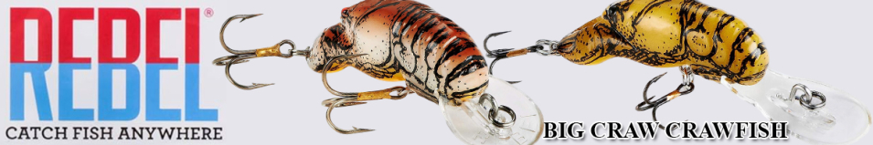 Rebel D74 Big Craw Crawfish