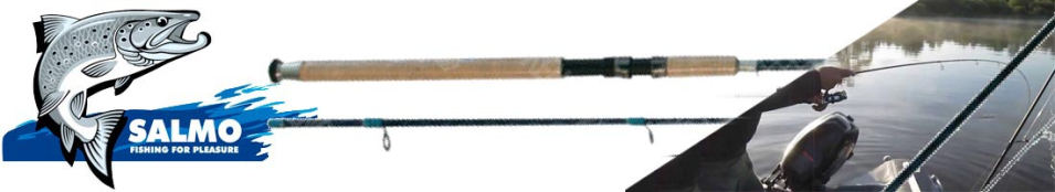 Salmo Diamond Power Pike 60