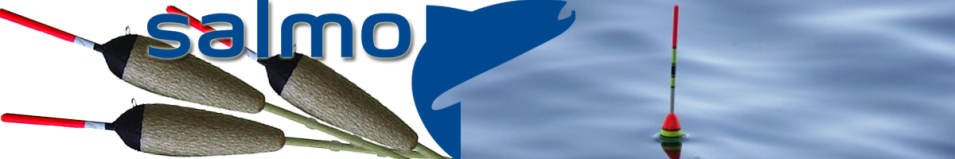 Поплавок Salmo DC