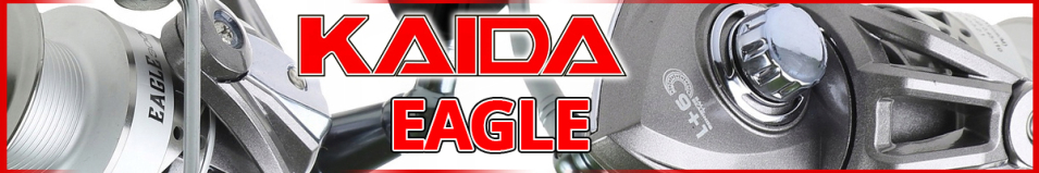 Kaida Eagle
