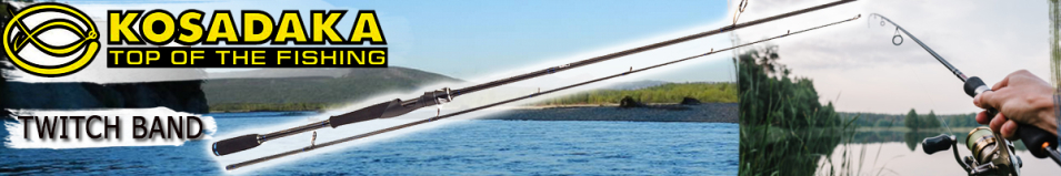 Kosadaka Twitch Band