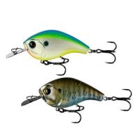 13Fishing
