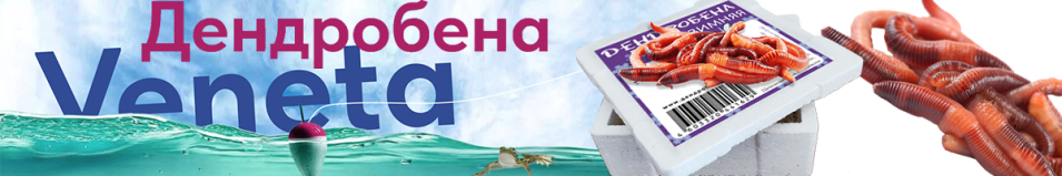 Червь Дендробена Зимняя Winter 25гр. Коробочка пенопласт