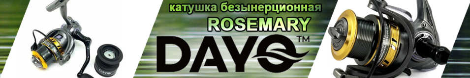 Dayo Rosemary