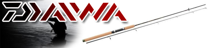 Daiwa Team Daiwa-AR
