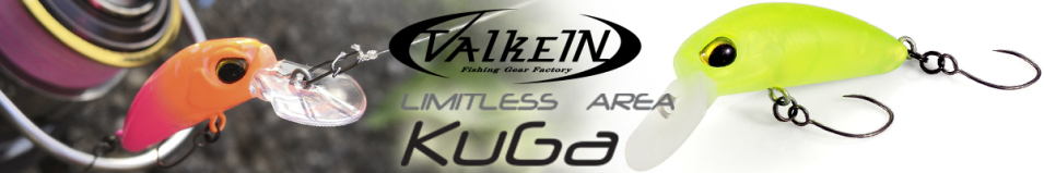 ValkeIn Kuga