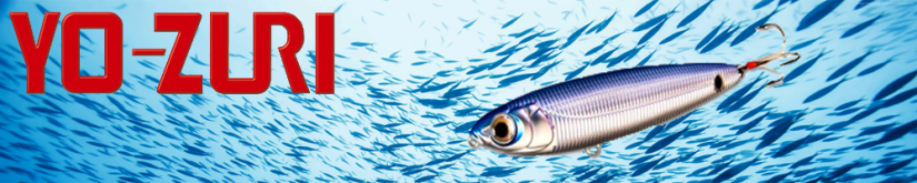 Yo-Zuri Sashimi Pencil SW R972