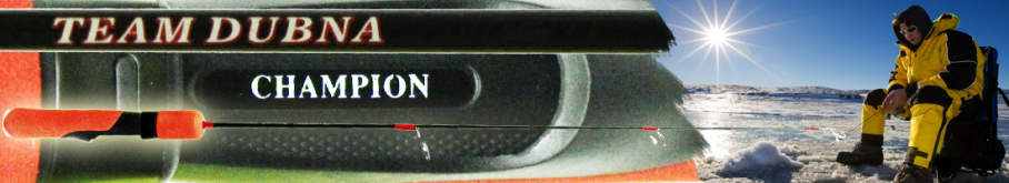 Team Dubna Ice TDI