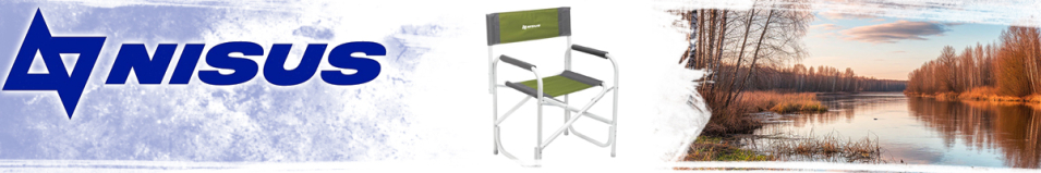 Nisus (T-N-DC-95200-GG) Кресло директорское