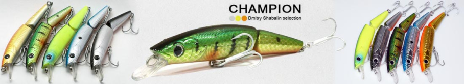 Champion 8012 LJ 120F